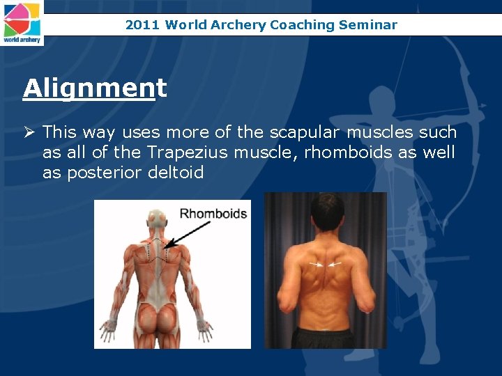2011 World Archery Coaching Seminar Alignment Ø This way uses more of the scapular