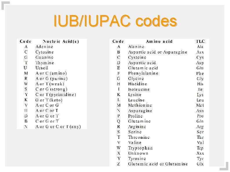 IUB/IUPAC codes 