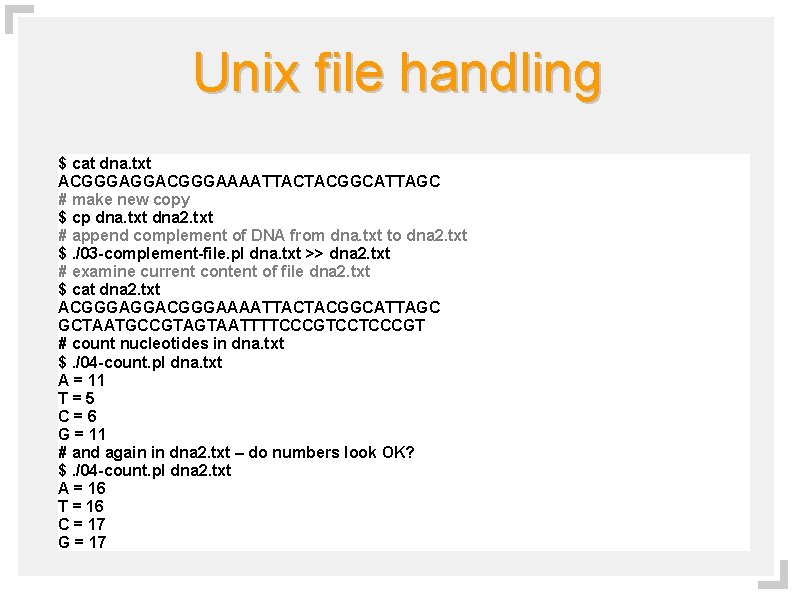 Unix file handling $ cat dna. txt ACGGGAGGACGGGAAAATTACTACGGCATTAGC # make new copy $ cp