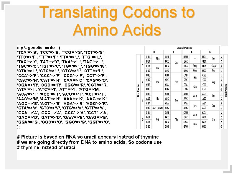 Translating Codons to Amino Acids my %genetic_code = ( 'TCA'=>'S', 'TCC'=>'S', 'TCG'=>'S', 'TCT'=>'S', 'TTC'=>'F',
