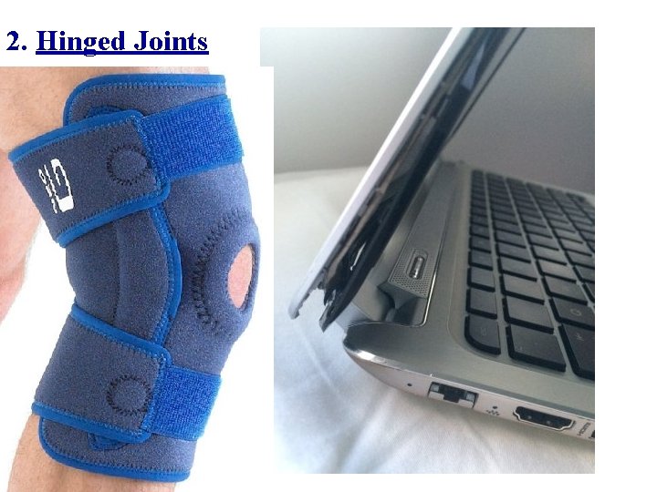2. Hinged Joints 2. Hinged Joints