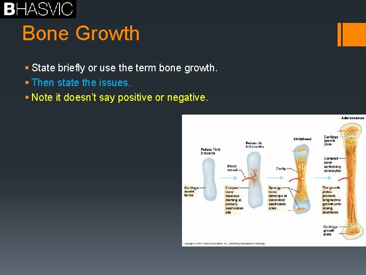 Bone Growth § State briefly or use the term bone growth. § Then state