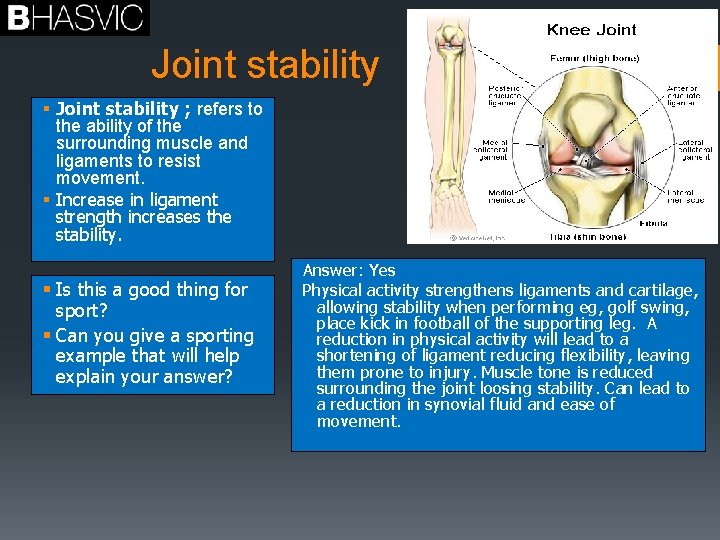Joint stability § Joint stability ; refers to the ability of the surrounding muscle