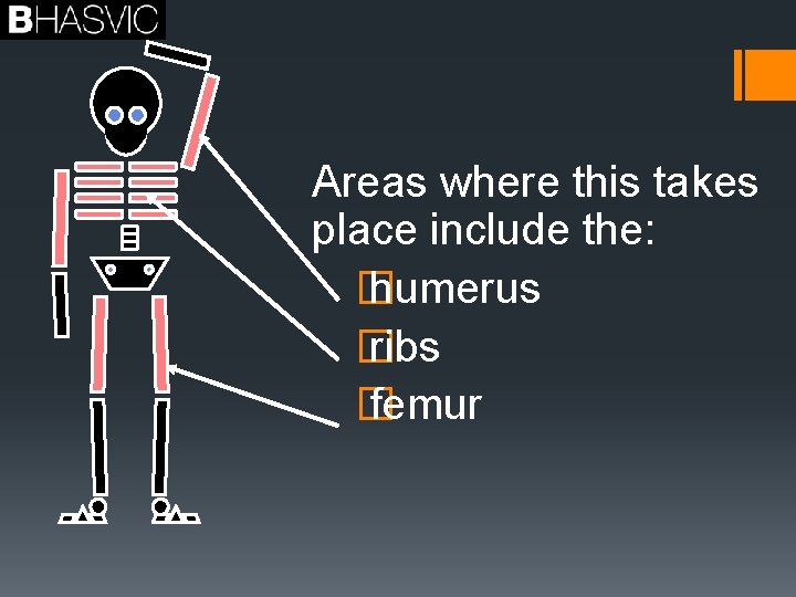 Areas where this takes place include the: � humerus � ribs � femur 