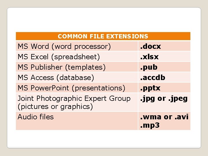 COMMON FILE EXTENSIONS MS Word (word processor) . docx MS Excel (spreadsheet) MS Publisher