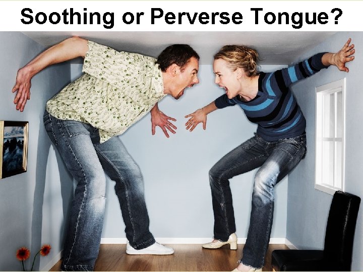 Soothing or Perverse Tongue? 