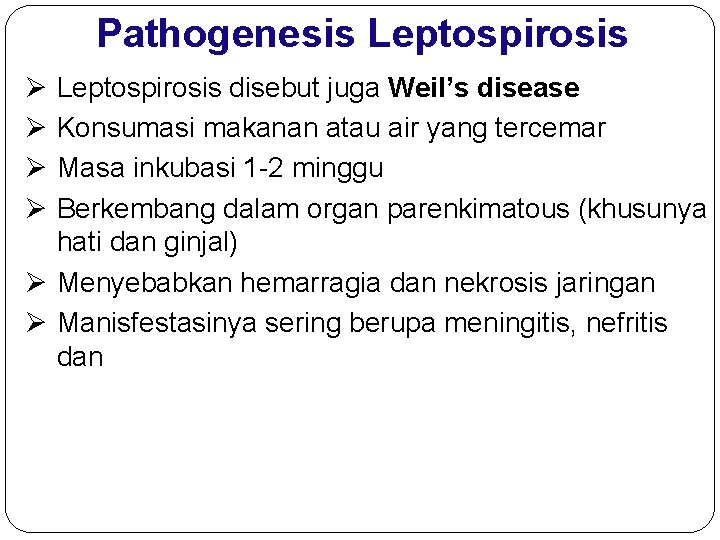 Pathogenesis Leptospirosis Ø Ø Leptospirosis disebut juga Weil’s disease Konsumasi makanan atau air yang