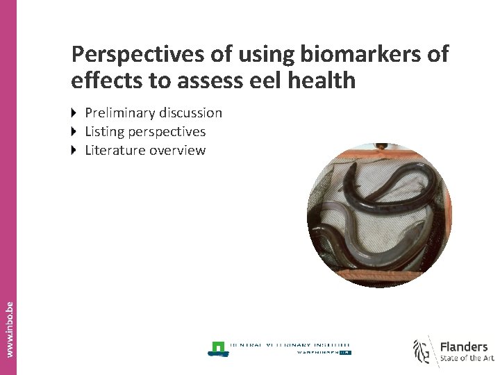 Perspectives of using biomarkers of effects to assess eel health Preliminary discussion Listing perspectives