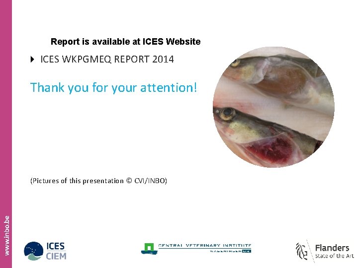 Report is available at ICES Website ICES WKPGMEQ REPORT 2014 Thank you for your