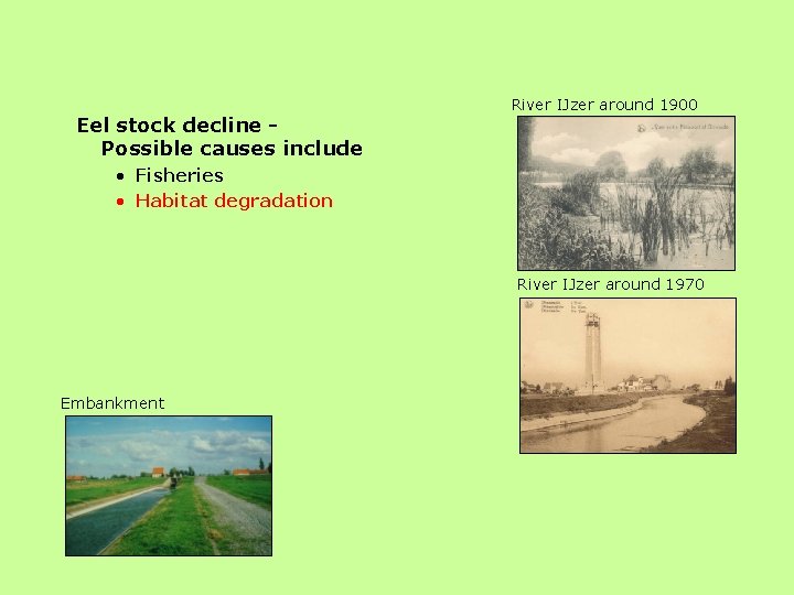 Eel stock decline Possible causes include River IJzer around 1900 • Fisheries • Habitat