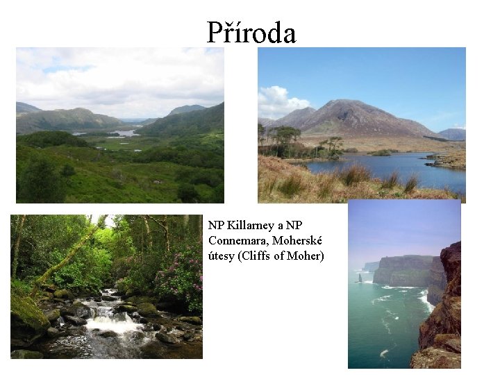Příroda NP Killarney a NP Connemara, Moherské útesy (Cliffs of Moher) 
