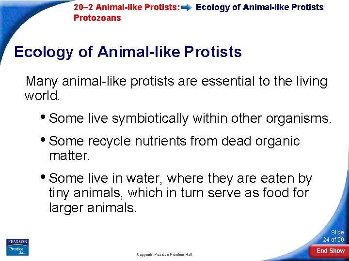  20– 2 Animal-like Protists: Protozoans Ecology of Animal-like Protists Many animal-like protists are