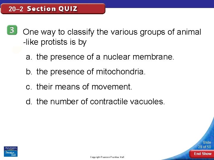 20– 2 One way to classify the various groups of animal -like protists is