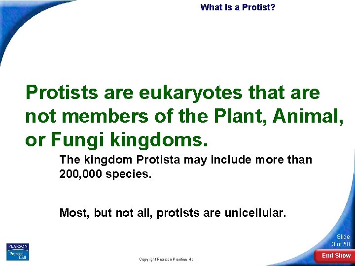 What Is a Protist? Protists are eukaryotes that are not members of the Plant,