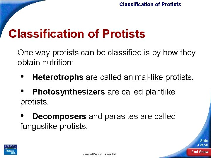 Classification of Protists One way protists can be classified is by how they obtain