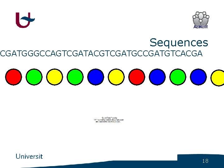 Sequences CGATGGGCCAGTCGATACGTCGATGCCGATGTCACGA 18 