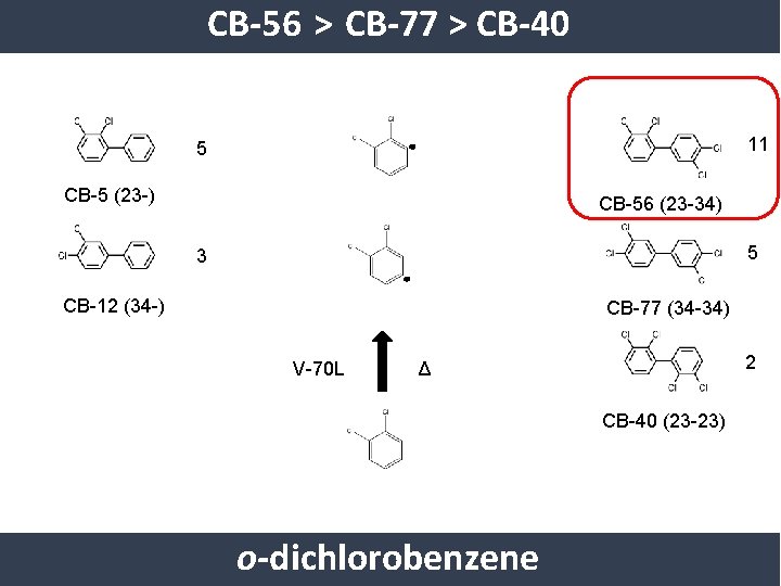 CB-56 > CB-77 > CB-40 11 5 CB-5 (23 -) CB-56 (23 -34) 5