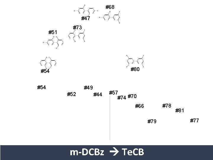 #68 #47 #51 #73 #80 #54 #49 #52 #44 #57 #74 #70 #78 #66