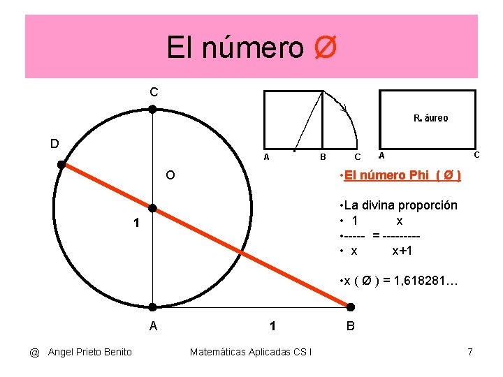 El número Ø C D • El número Phi ( Ø ) O •