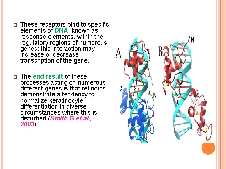 q These receptors bind to specific elements of DNA, known as response elements, within