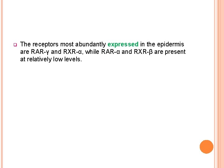 q The receptors most abundantly expressed in the epidermis are RAR-γ and RXR-α, while