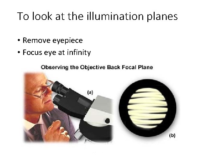 To look at the illumination planes • Remove eyepiece • Focus eye at infinity