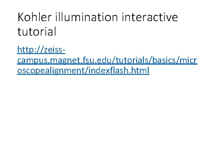 Kohler illumination interactive tutorial http: //zeisscampus. magnet. fsu. edu/tutorials/basics/micr oscopealignment/indexflash. html 