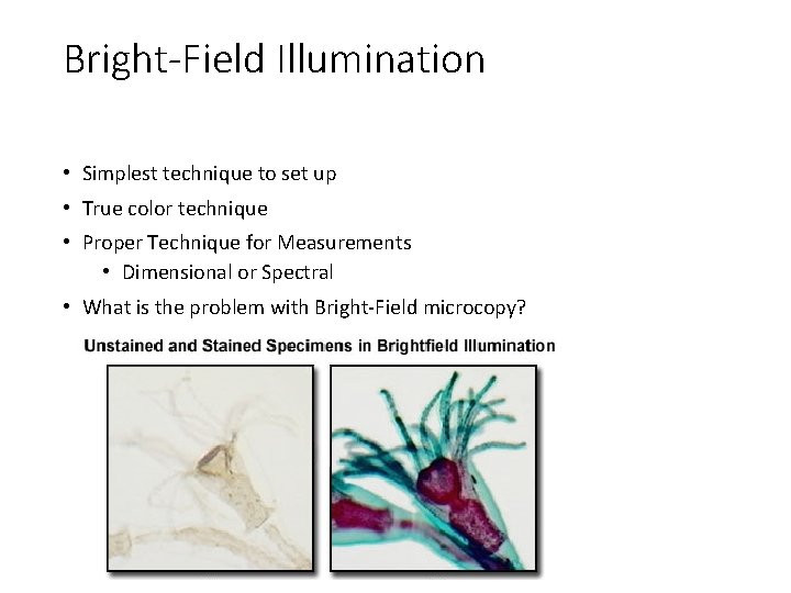 Bright-Field Illumination • Simplest technique to set up • True color technique • Proper