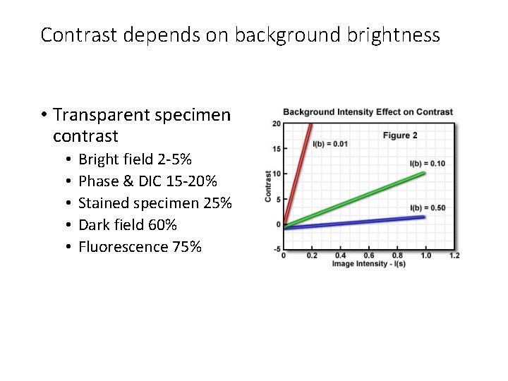 Contrast depends on background brightness • Transparent specimen contrast • • • Bright field