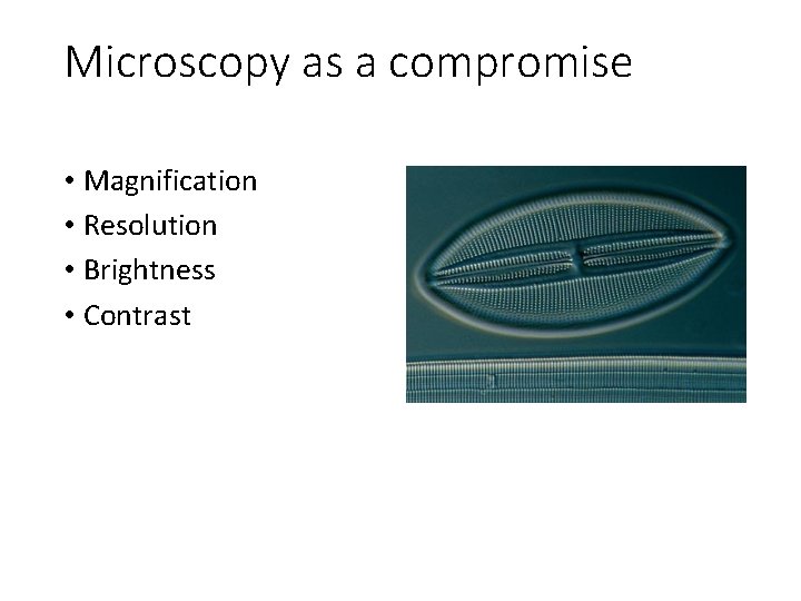 Microscopy as a compromise • Magnification • Resolution • Brightness • Contrast 