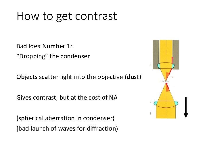 How to get contrast Bad Idea Number 1: “Dropping” the condenser Objects scatter light