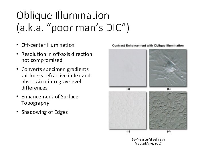 Oblique Illumination (a. k. a. “poor man’s DIC”) • Off-center Illumination • Resolution in