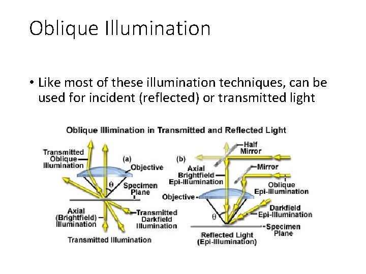 Oblique Illumination • Like most of these illumination techniques, can be used for incident