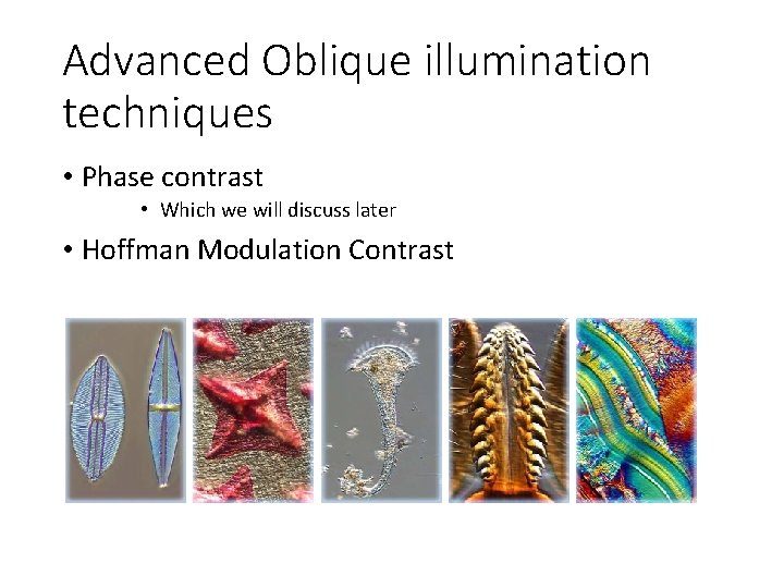 Advanced Oblique illumination techniques • Phase contrast • Which we will discuss later •