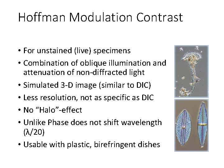 Hoffman Modulation Contrast • For unstained (live) specimens • Combination of oblique illumination and