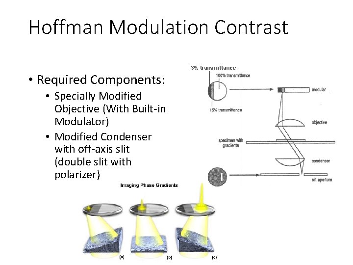 Hoffman Modulation Contrast 3% transmittance • Required Components: • Specially Modified Objective (With Built-in