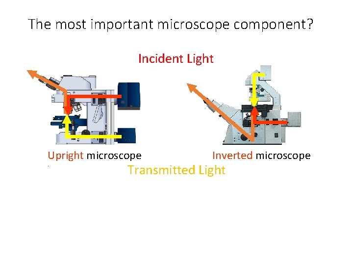The most important microscope component? Incident Light Upright microscope. Inverted microscope Transmitted Light 