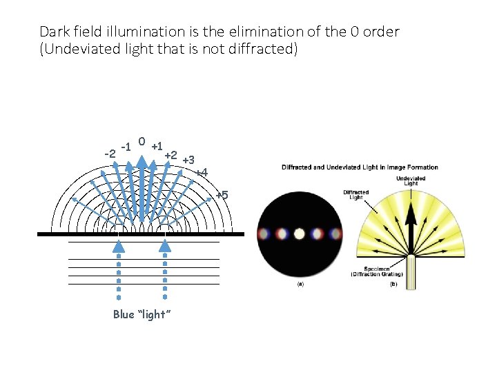 Dark field illumination is the elimination of the 0 order (Undeviated light that is