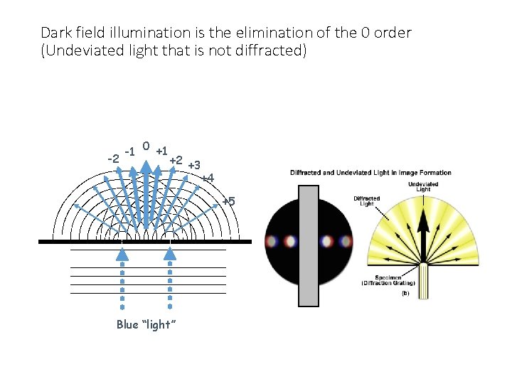 Dark field illumination is the elimination of the 0 order (Undeviated light that is