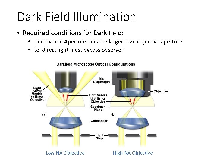 Dark Field Illumination • Required conditions for Dark field: • Illumination Aperture must be