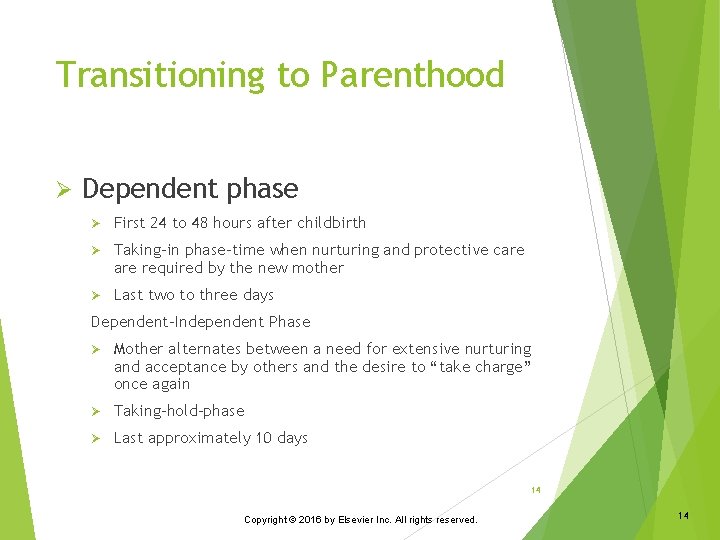 Transitioning to Parenthood Ø Dependent phase Ø First 24 to 48 hours after childbirth