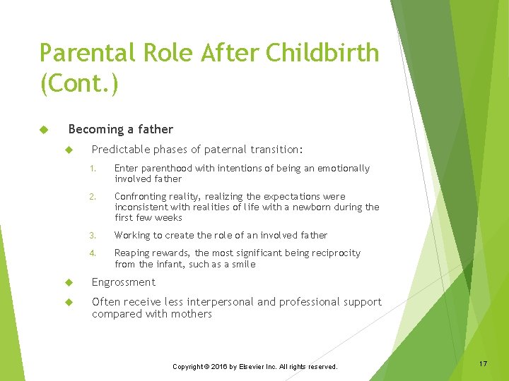 Parental Role After Childbirth (Cont. ) Becoming a father Predictable phases of paternal transition: