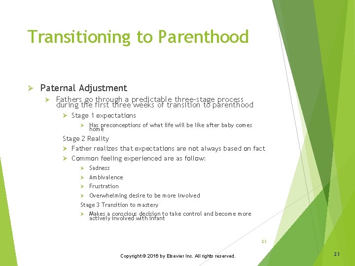 Transitioning to Parenthood Ø Paternal Adjustment Ø Fathers go through a predictable three-stage process