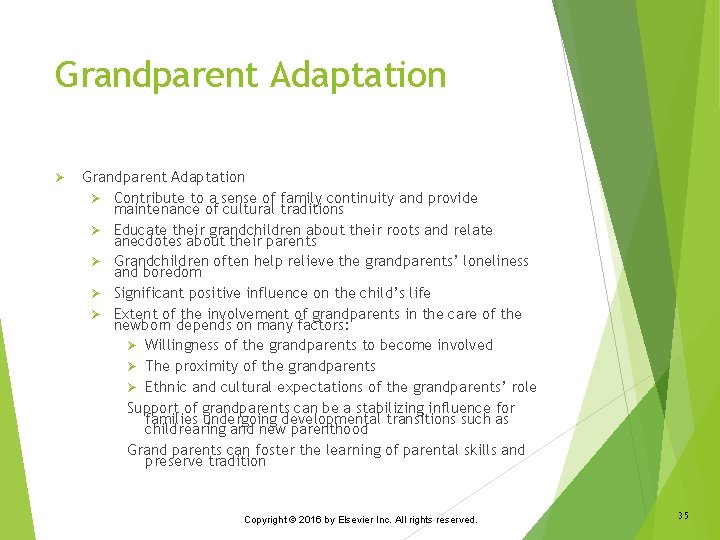 Grandparent Adaptation Ø Contribute to a sense of family continuity and provide maintenance of