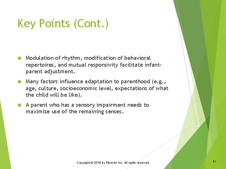 Key Points (Cont. ) Modulation of rhythm, modification of behavioral repertoires, and mutual responsivity