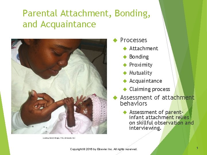 Parental Attachment, Bonding, and Acquaintance Processes Attachment Bonding Proximity Mutuality Acquaintance Claiming process Assessment