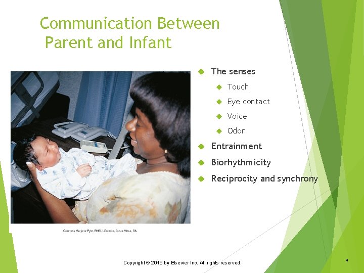 Communication Between Parent and Infant The senses Touch Eye contact Voice Odor Entrainment Biorhythmicity