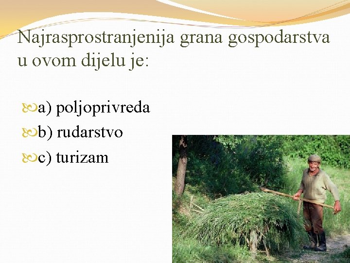 Najrasprostranjenija grana gospodarstva u ovom dijelu je: a) poljoprivreda b) rudarstvo c) turizam 