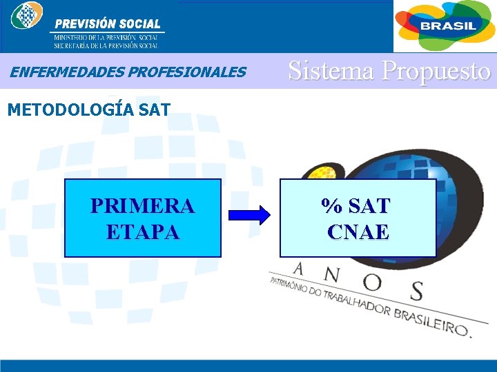 BRASIL ENFERMEDADES PROFESIONALES Sistema Propuesto METODOLOGÍA SAT PRIMERA ETAPA % SAT CNAE 