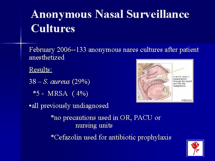 Anonymous Nasal Surveillance Cultures February 2006 --133 anonymous nares cultures after patient anesthetized Results: